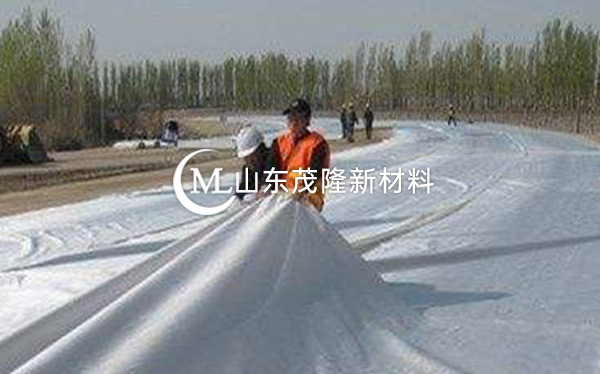 《河北省邯郸园博园》土工布、排水板施工