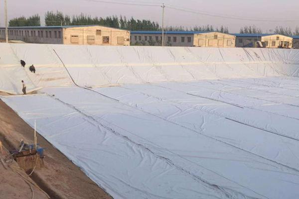一文看懂强风天气下土工布的施工注意事项  第1张