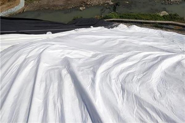 土工布在公路改造升级中的技术应用  第3张
